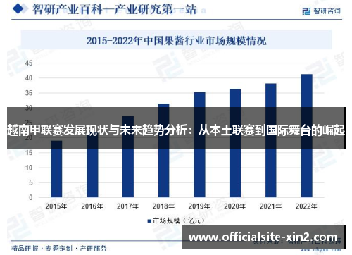 越南甲联赛发展现状与未来趋势分析：从本土联赛到国际舞台的崛起