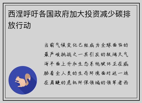 西涅呼吁各国政府加大投资减少碳排放行动